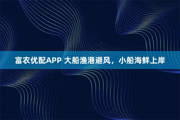 富农优配APP 大船渔港避风，小船海鲜上岸