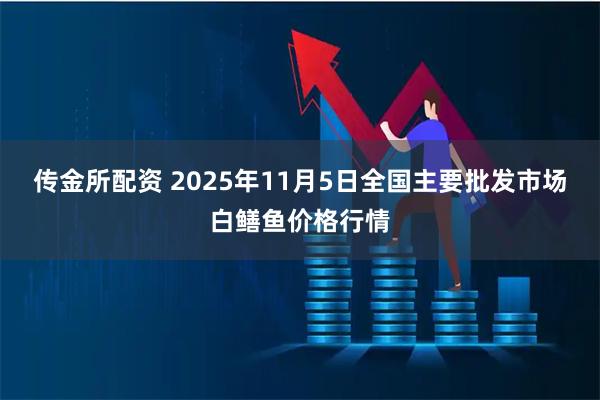 传金所配资 2025年11月5日全国主要批发市场白鳝鱼价格行情
