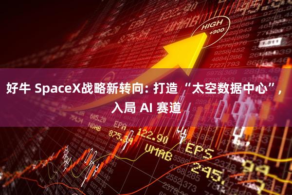 好牛 SpaceX战略新转向: 打造 “太空数据中心”, 入局 AI 赛道
